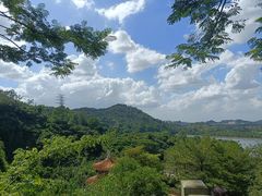 -水濂山森林公园