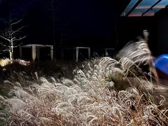 -仙海旅游度假区