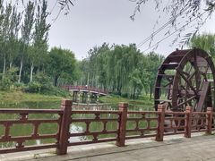 -北坞公园