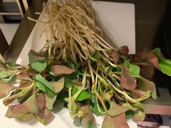 -丙申臺火锅