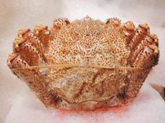 -雍容荟活帝王蟹活龙虾自助(苏宁旗舰店)