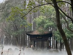 -东湖落雁景区