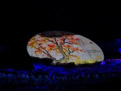 -婺源梦里老家大型山水实景演出