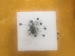 -吉林省自然博物馆