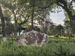 -江心屿景区