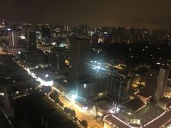 -新加坡瑞士史丹福酒店