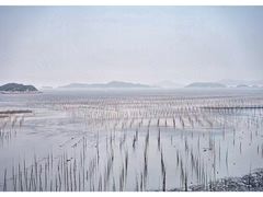 -北岐滩涂
