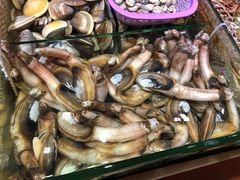 象拔蚌-万尾金滩