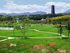 -宜兴龙背山森林公园