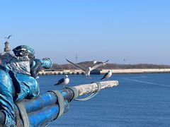 -大连老虎滩海洋公园