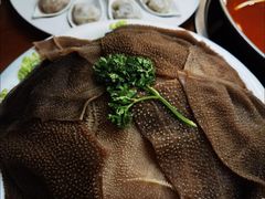 -重庆小天鹅(英雄山路店)