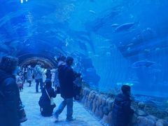 -华夏文旅海洋公园