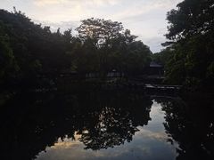 -深圳国际园林花卉博览园