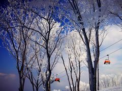 -中旅松花湖滑雪场