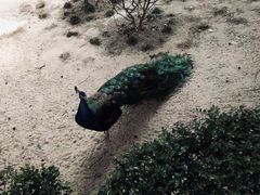 -无锡动物园·太湖欢乐园