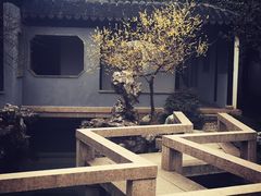 -苏州严家花园