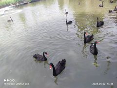 -溱湖国家湿地公园