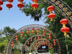 -大屏嶂森林公园