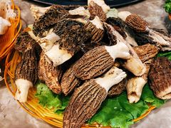 -易门野生菌府·菌海森林(月牙潭公园店)