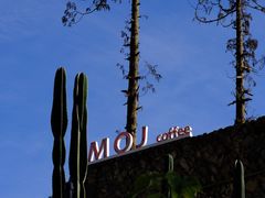 -MOJ coffee(瓯海泽雅水碓坑店)