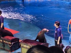 -烟台海昌鲸鲨海洋公园