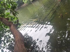 -荔湾湖公园