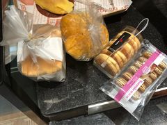 -向阳坊(树兜店)