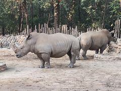 -北京野生动物园