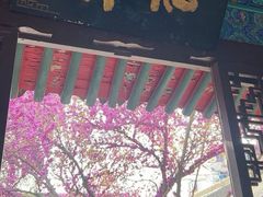 -万寿八仙宫
