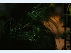 -行人小筑·茶馆(岑村火炉山分店)