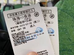 -港珠澳大桥(珠海段)