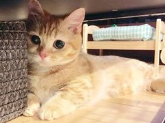 -星伦多 自助料理(圆融店)