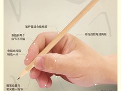 -光明园迪儿童学习桌椅(广州购书中心店)