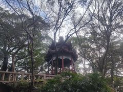 -乌山风景区