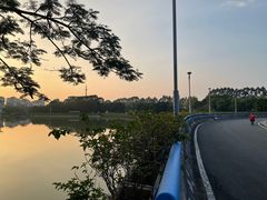 -东莞植物园