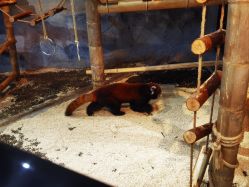 -Zoolung Zoolung动物主题公园(海信广场店)