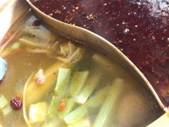 -杨家火锅(国美店)