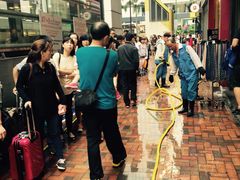 -珍妮曲奇聪明小熊(尖沙咀店)