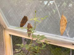 -正佳雨林生态植物园