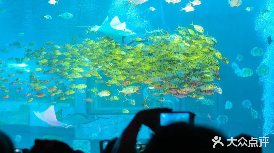 正佳极地海洋世界，打卡180°水晶海底！