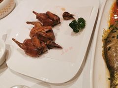 -醉辉皇原味海鲜江南菜(成都大魔方店)