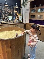 -Zoolung Zoolung动物主题公园(海信广场店)