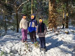 -天目山大树王景区