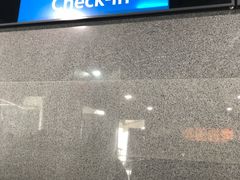 -吴淞口国际邮轮码头-停车场