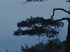 -崆峒山景区