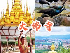 -西双版纳勐泐文化旅游区