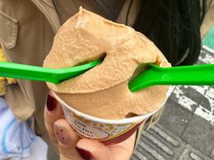 -和田爱乐塔西娜刨冰粽子