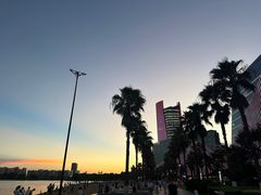 -金沙湖公园