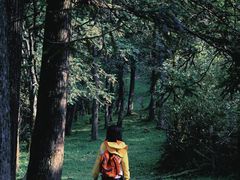 -武陵山森林公园