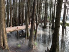 -东湖落雁景区